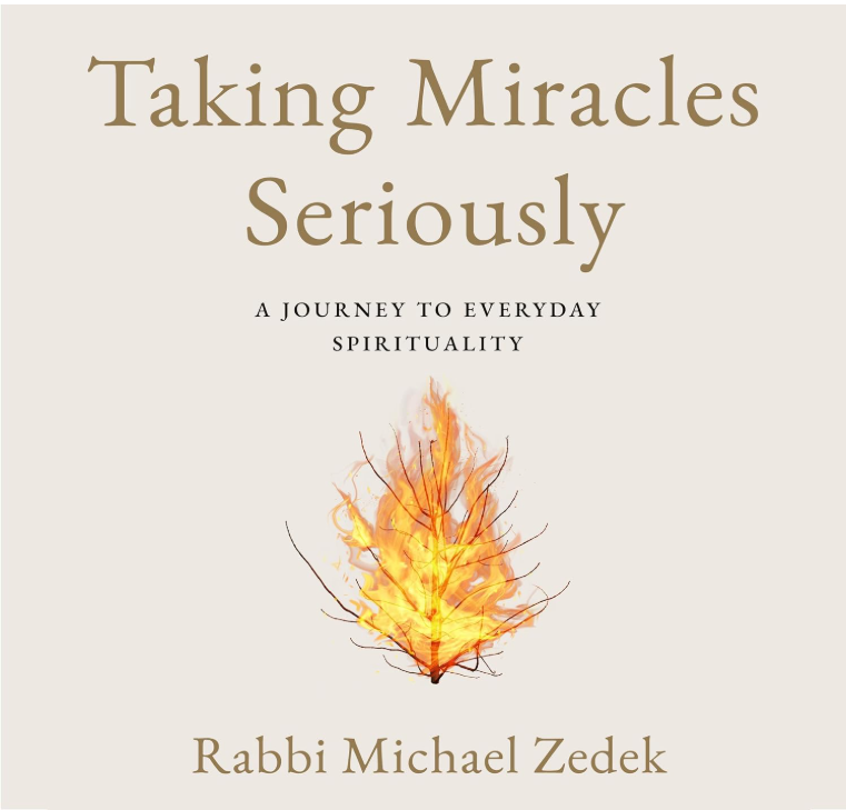 Taking Miracles Seriously book cover
